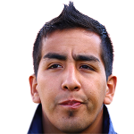M. Ibáñez Basualdo