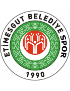 Etimesgut Belediyespor