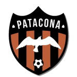 Patacona