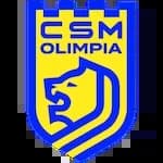 CSM Satu Mare