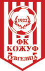 FK Kozuv Gevgelija