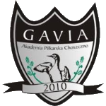 Gavia Choszczno